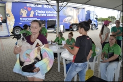 Mais-de-600-procedimentos-foram-realizados-em-caes-e-gatos
